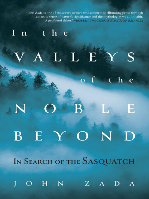 Title details for In the Valleys of the Noble Beyond by John Zada - Available
